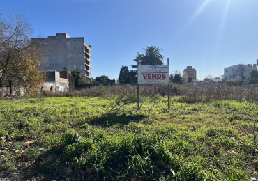  LOTES  PARA INVERSORES, total 2099 m2- CENTRO ESCOBAR